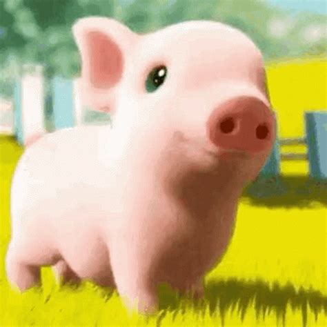 cute pigs gif|funny pig gif.